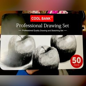 Professional drawing set
